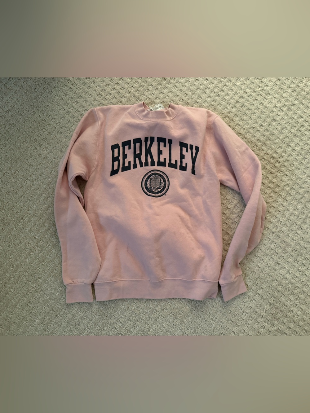 Champion Pink Logo Crewneck Berkeley Sweatshirt